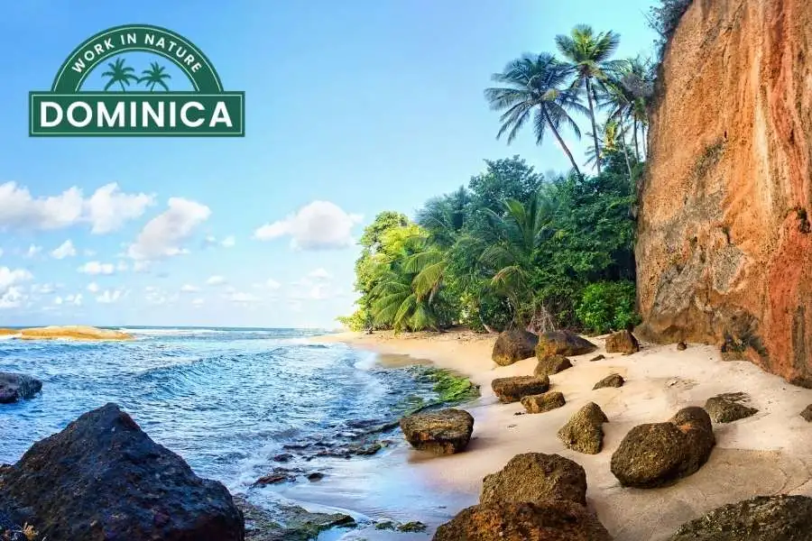 Dominica Digital Nomad