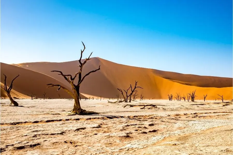 Namibia Digital Nomad Visa