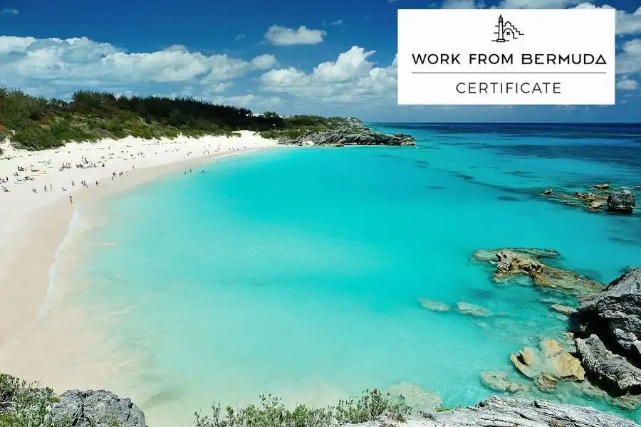Work From Bermuda Visa